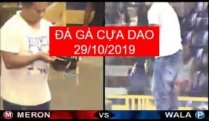 đá gà cựa dao ngày 29/10/2019