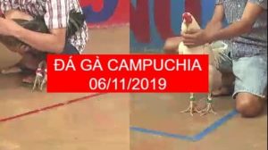 đá gà campuchia mới nhất 2019