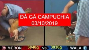 đá gà campuchia ngày 03/11/2019